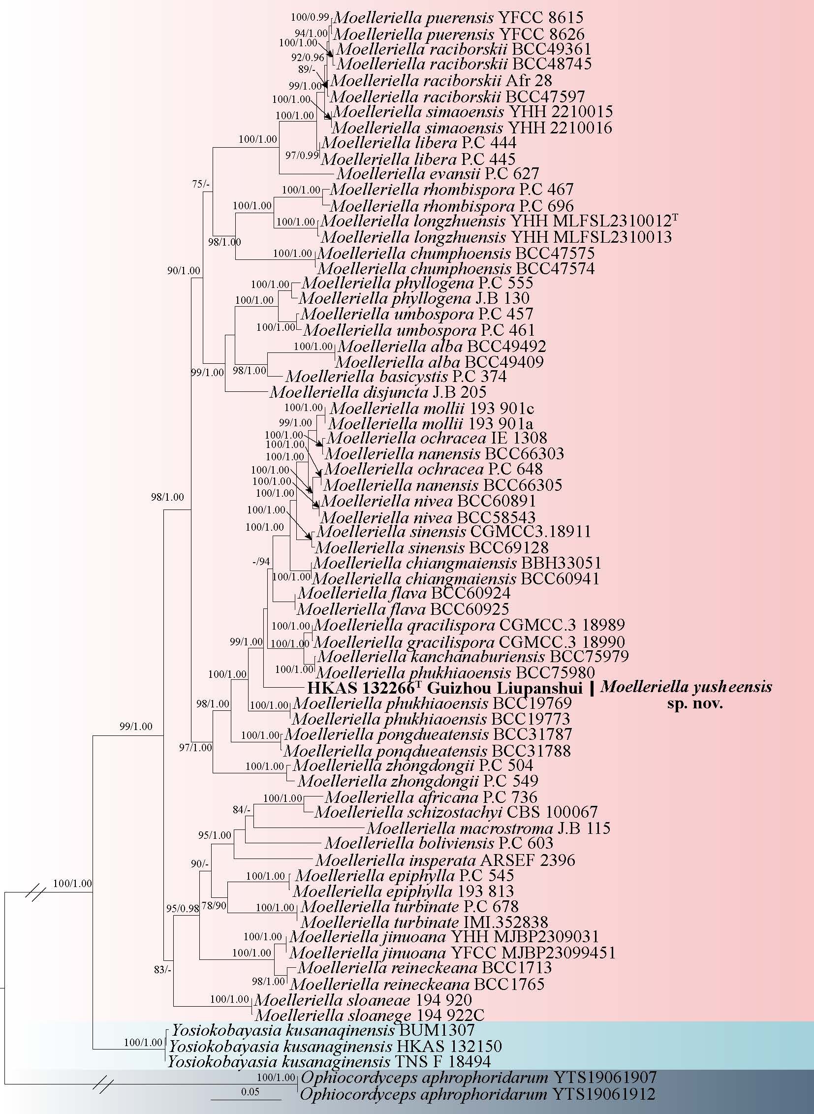 Figure 55